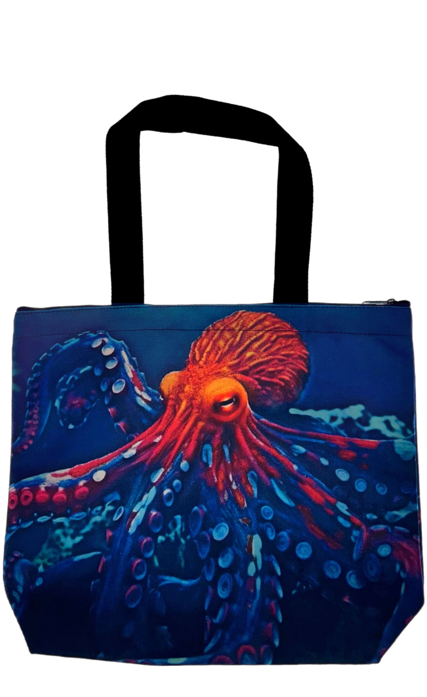 Cephalopod