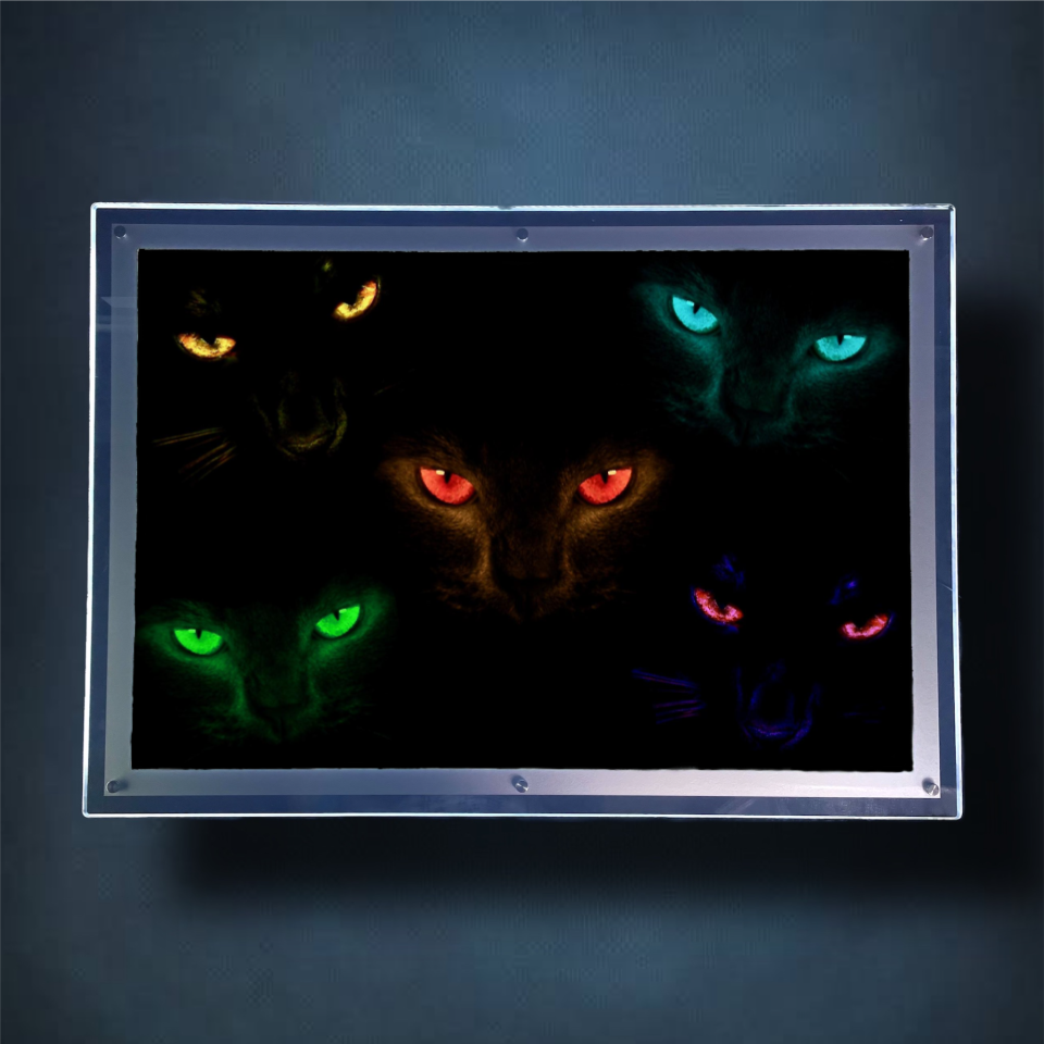 Felines Lightbox Frame