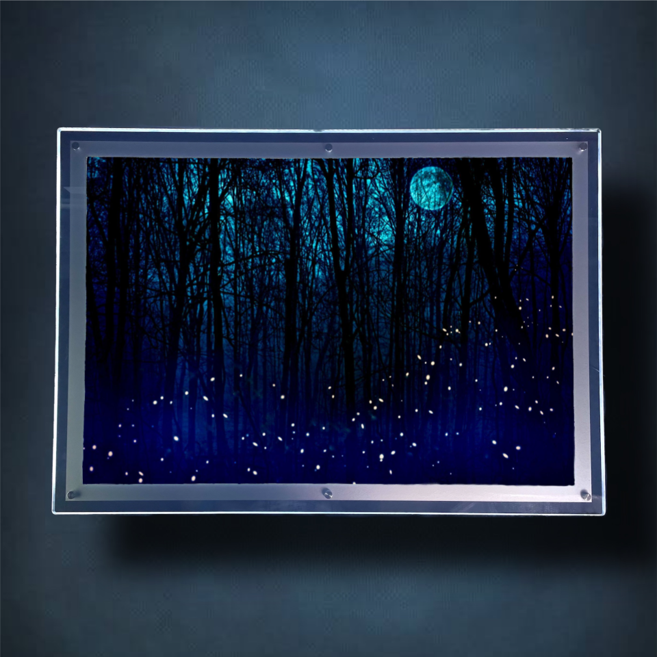 Fireflies Lightbox Frame