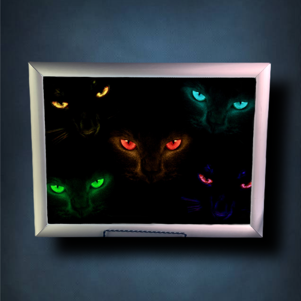 Felines Lightbox Frame