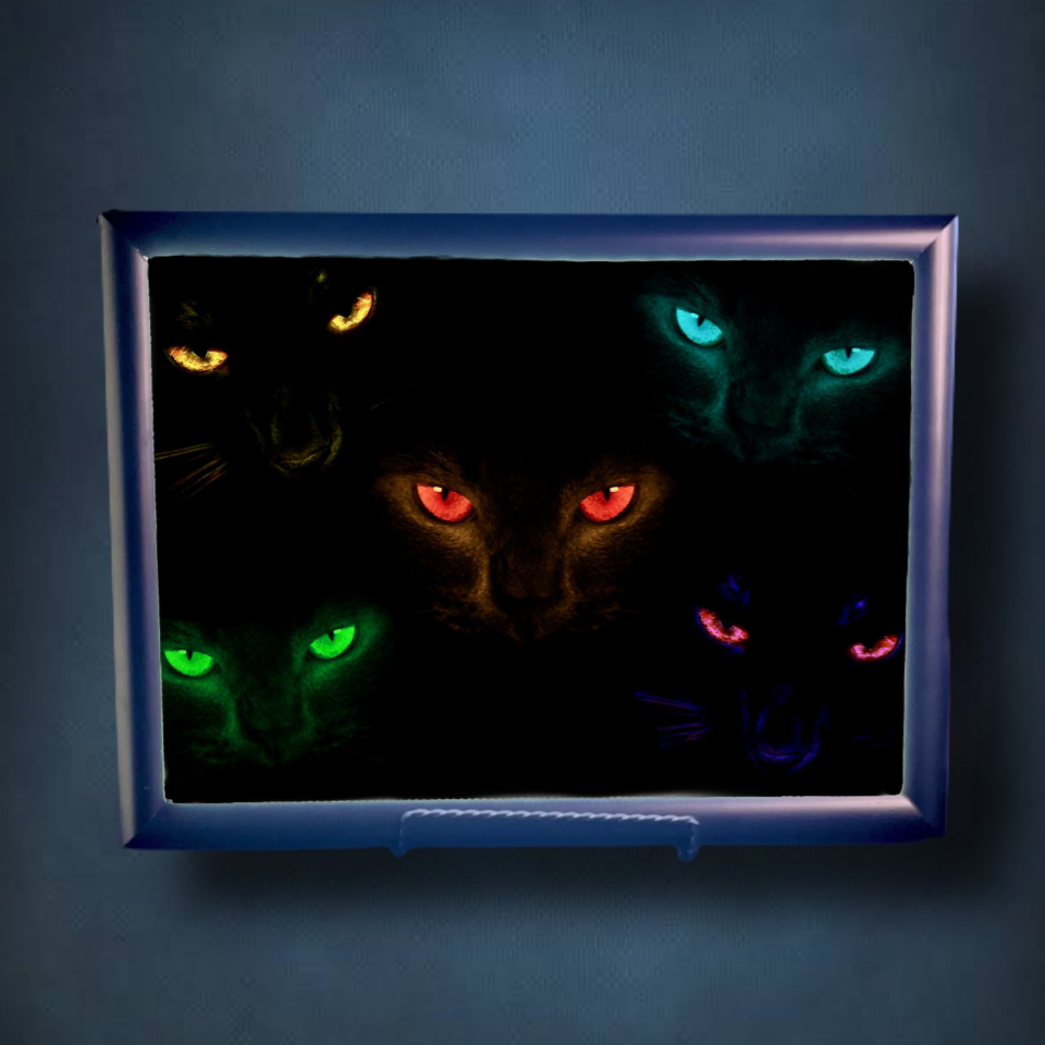 Felines Lightbox Frame