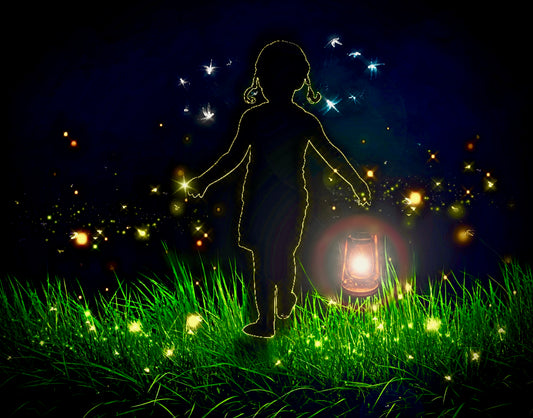 Wonderment Lightbox Frame