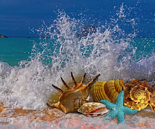 Marine Gems Lightbox Frame