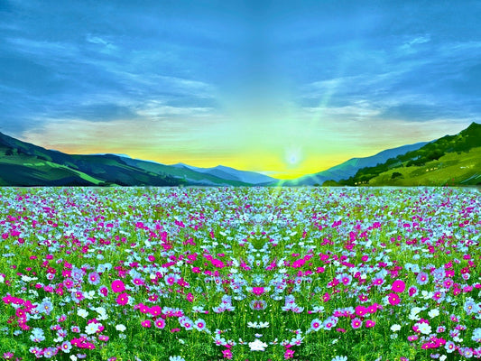 Welcome Heaven Lightbox Frame