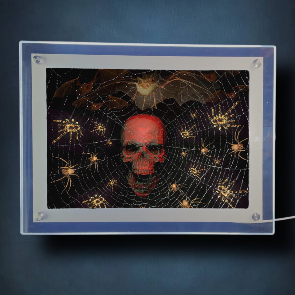 Webbed Skull Lightbox Frame