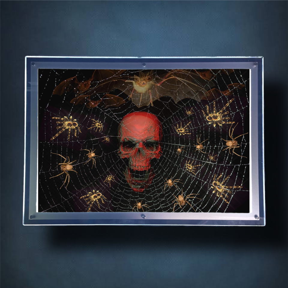 Webbed Skull Lightbox Frame