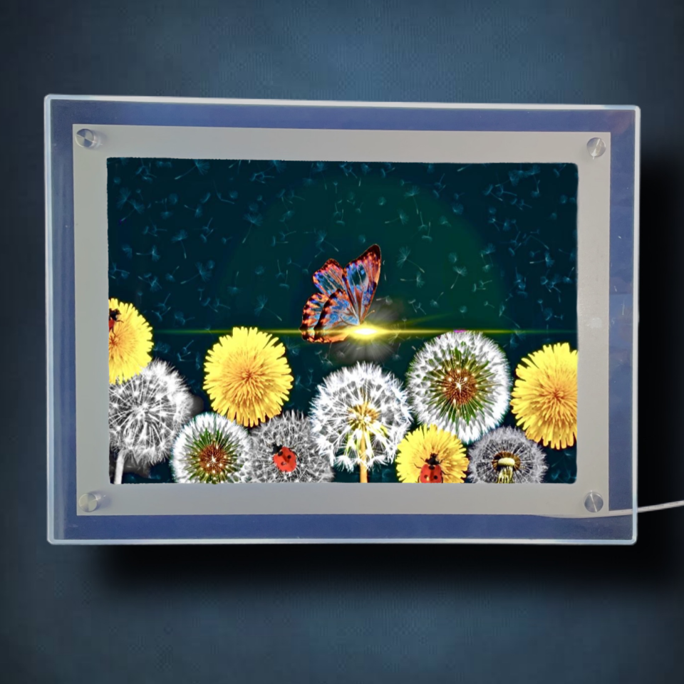 Detachment Lightbox Frame