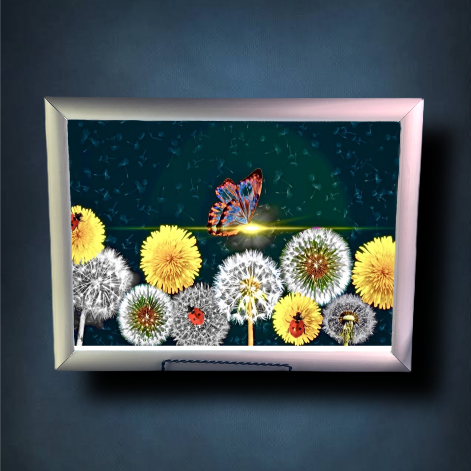 Detachment Lightbox Frame