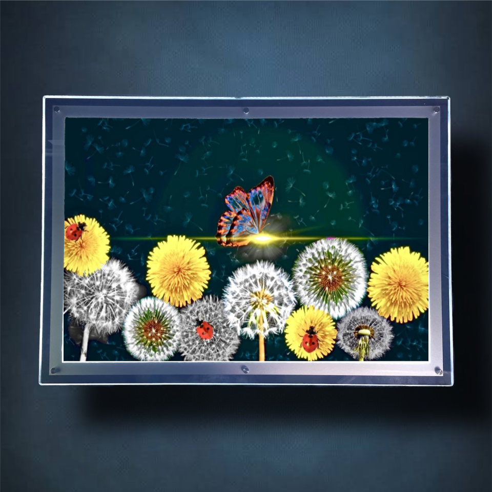 Detachment Lightbox Frame