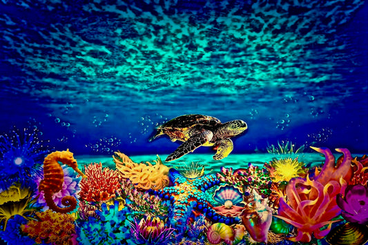 The Reef Lightbox Frame