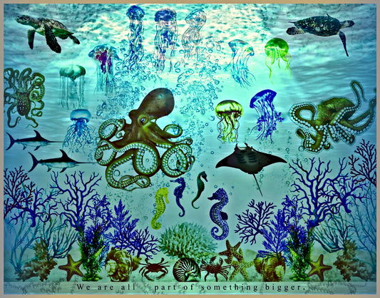 Aquatic World Lightbox Frame