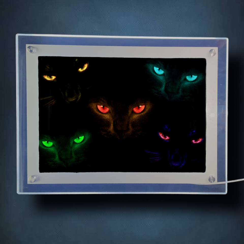 Felines Lightbox Frame