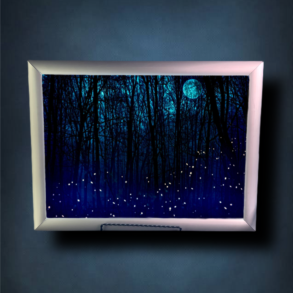 Fireflies Lightbox Frame