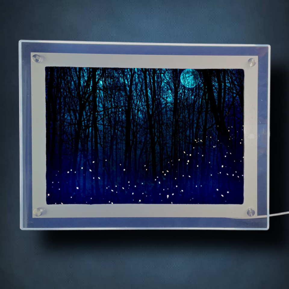 Fireflies Lightbox Frame