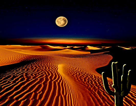 Desert Moon Lightbox Frame