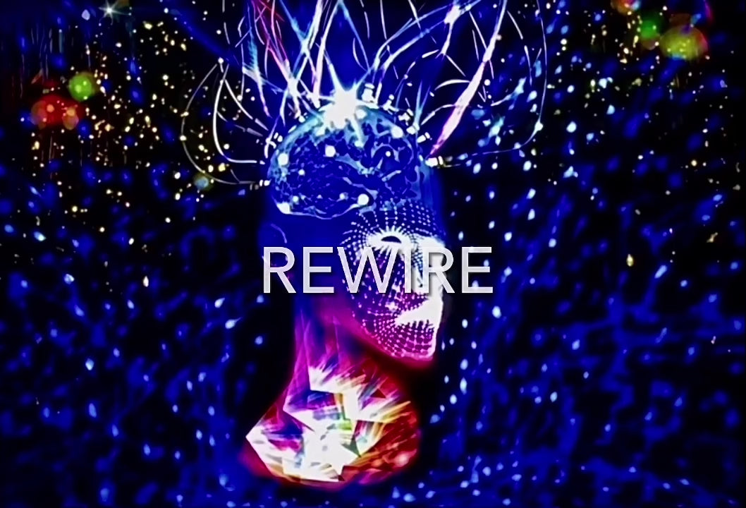 Rewire Animated – Future Generation Artistry