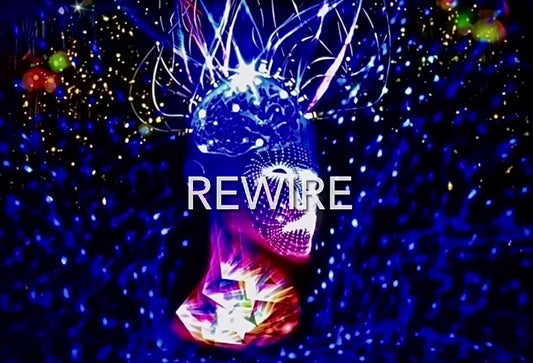 Rewire Animated