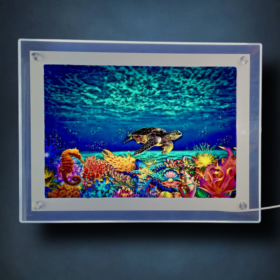 The Reef Lightbox Frame