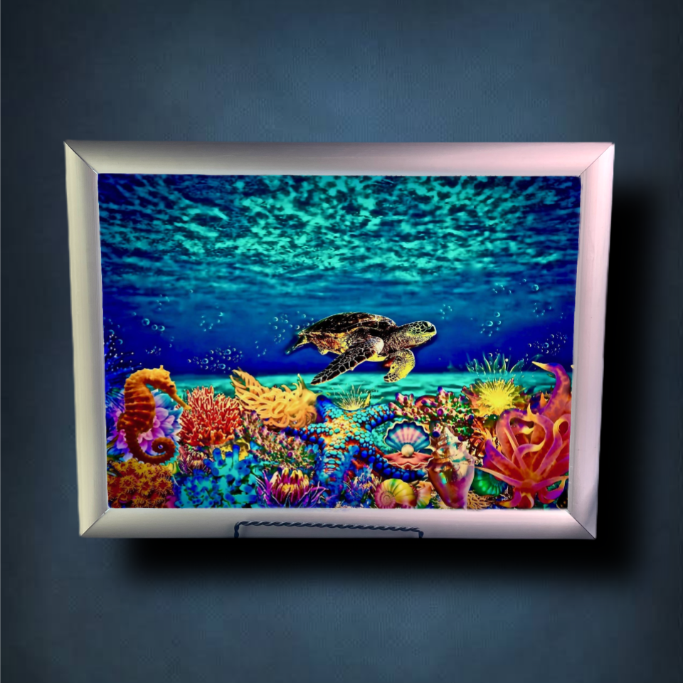 The Reef Lightbox Frame