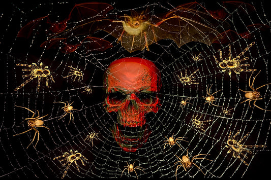 Webbed Skull Lightbox Frame